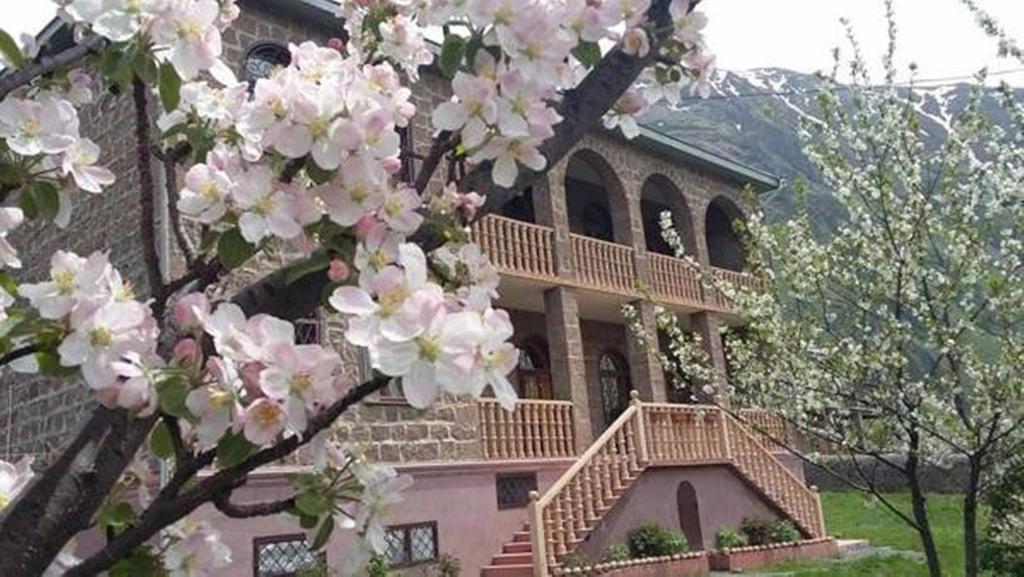 Max Hotel Gogi Alibegashvili Stepantsminda Exterior photo